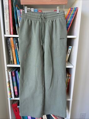 Aritzia sweatfleece boyefriend fit cozy fleece sweatpants